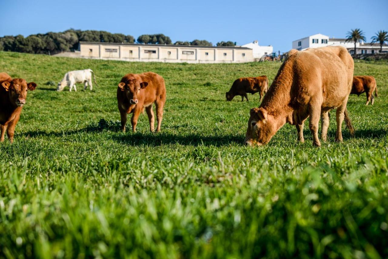 Agroturismo Bini Aumaia Es Mercadal Dış mekan fotoğraf