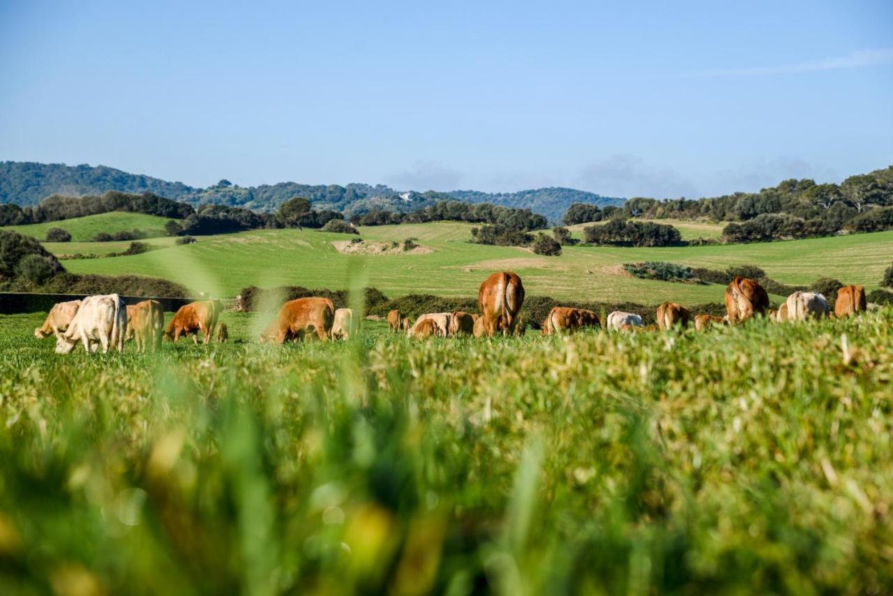 Agroturismo Bini Aumaia Es Mercadal Dış mekan fotoğraf